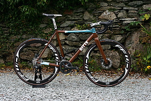 brown and black Ritte road bike, bicycle, carbon fiber , road, wheels