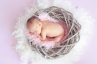 topless baby sleeping on brown nest