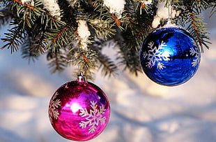 two pink and blue baubles HD wallpaper