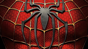 Spiderman logo HD wallpaper