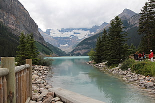 brown wooden fence, lake louise, canada HD wallpaper
