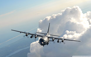 black and gray airplane, aircraft, Lockheed C-130 Hercules, military, military aircraft HD wallpaper