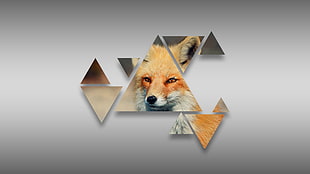 yellow and black bird figurine, triangle, fox,  grey