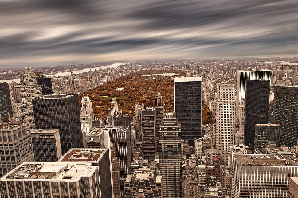 white and brown concrete building, urban, New York City HD wallpaper