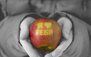 selective focus photography of person holding apple