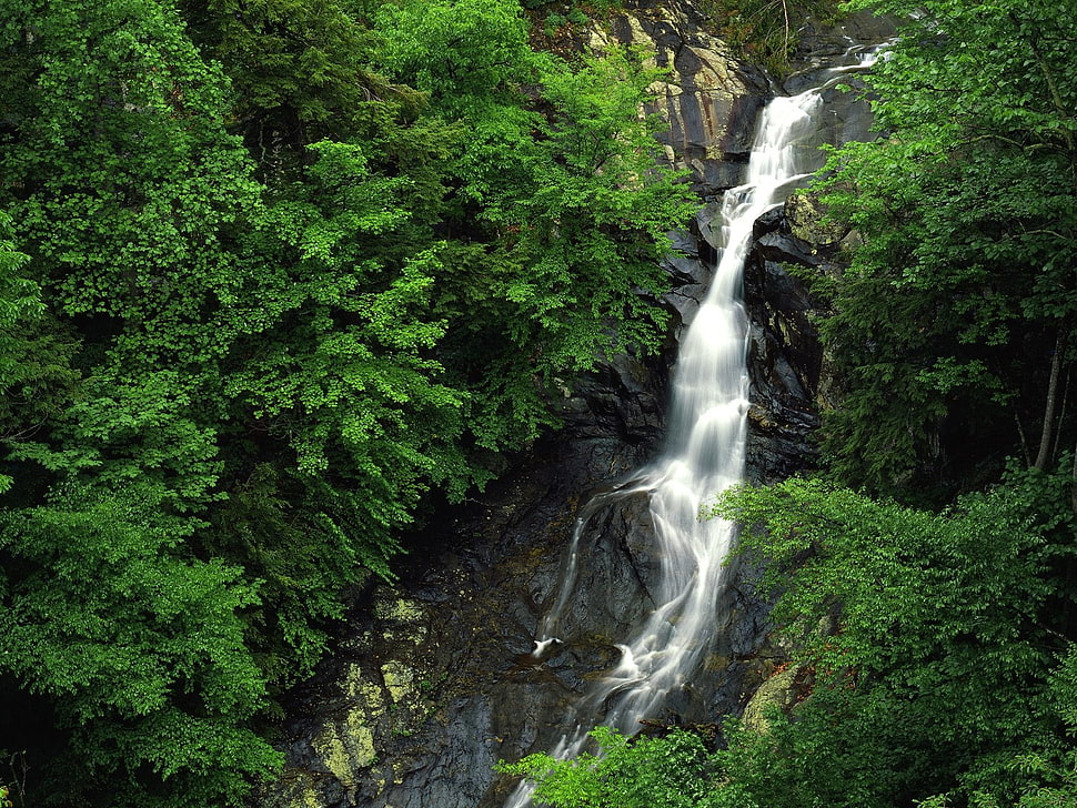 photo of waterfalls between trees at daytime HD wallpaper