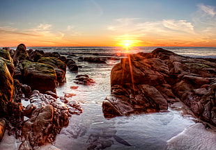 brown rock beside seashore during sunset, la jolla HD wallpaper
