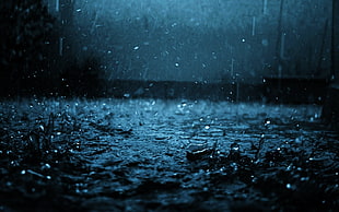 photo of raindrops on the ground HD wallpaper
