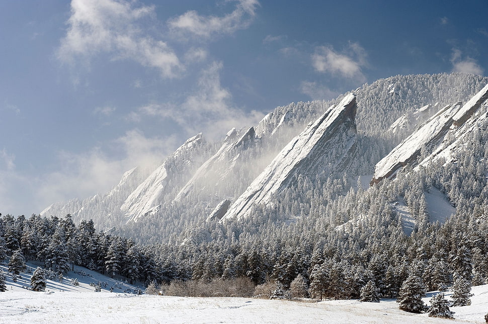 snow covered trees and mountains HD wallpaper