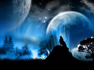 silhouette of Wold during night time illustration