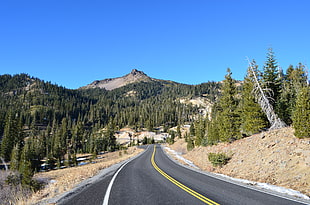 one point perspective road with pine trees and mountain, free highway