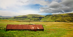 brown wooden barn, Iceland, landscape