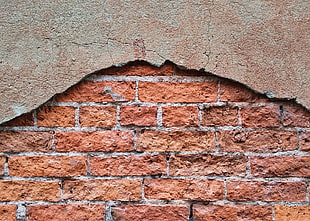 brown brick wall, Wall, Brick, Surface