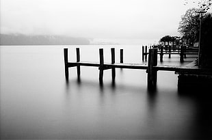gray-scale photo of wooden dock, weggis, ilford
