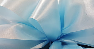 closeup photo of blue lace bow