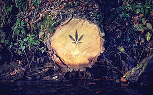 cannabis printed on log HD wallpaper