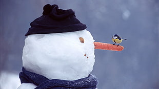 snowman with bird, winter, snow, snowmen, birds