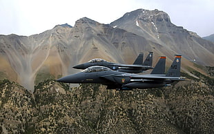 two black fighter planes, airplane, F-15 Eagle, aircraft
