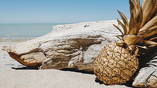 brown and white wooden table, photography, pineapples, beach, landscape