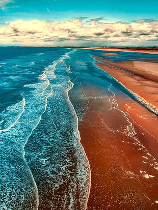 aerial image of seashore HD wallpaper