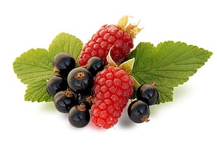 Raspberry and Blueberry photo
