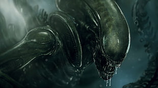 Alien vs Predator digital wallpaper, Alien (movie), Xenomorph