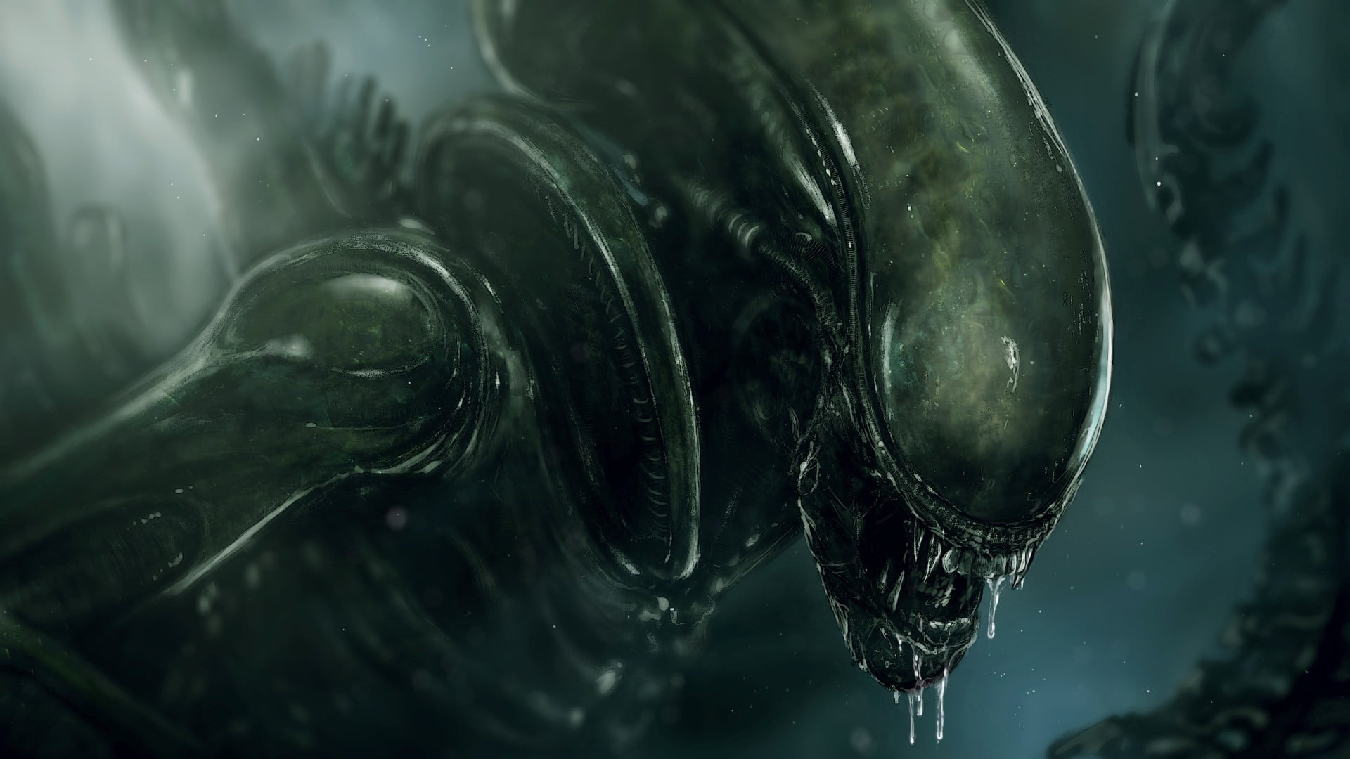 Alien Vs Predator Digital Wallpaper Alien Movie Xenomorph Hd