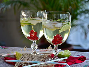 vodka with lemon on wine glass