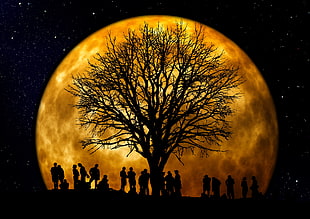 silhouette of tree and group of people in front of full moon