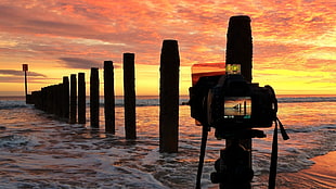 black and silver DSLR camera, sea, photography