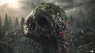 illustration of skull with vines HD wallpaper