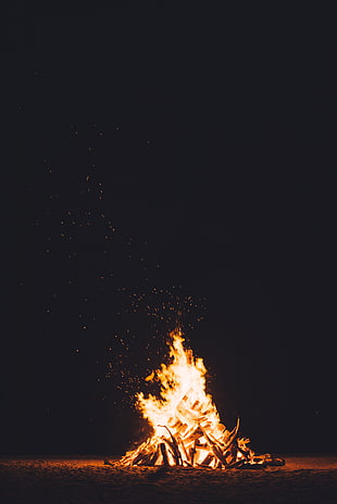 bonfire, nature, fire