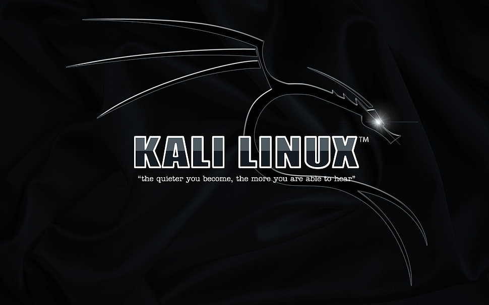 Kali Linux logo, Kali Linux HD wallpaper