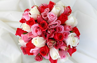 pink, red and white roses HD wallpaper