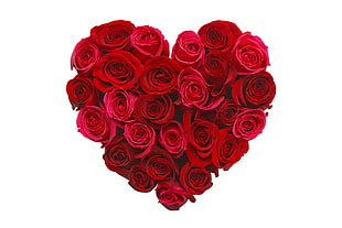 heart shaped red rose HD wallpaper