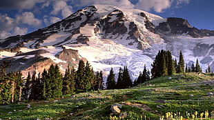 white and brown mountain