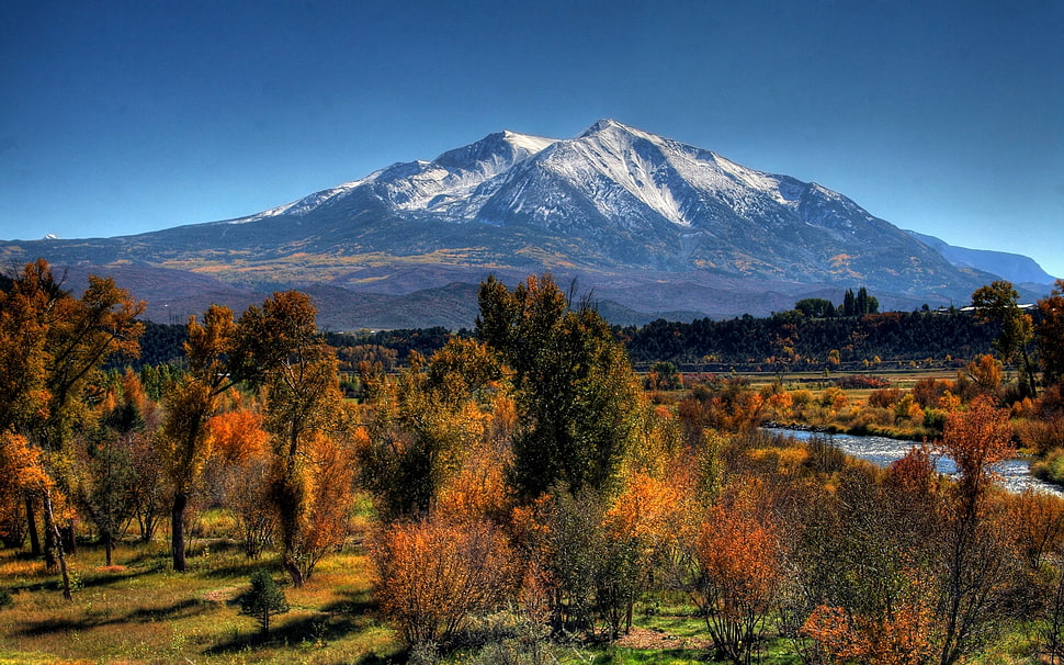 brown and white mountain HD wallpaper