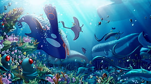 whales and fishes underwater illustration, Pokémon, video games