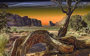 brown tree illustration, nature, landscape, Monument Valley, dead trees HD wallpaper