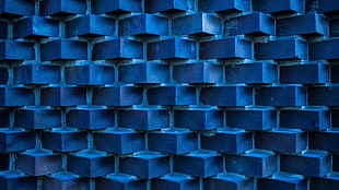 black and white plastic organizer, photography, blue, bricks, architecture HD wallpaper