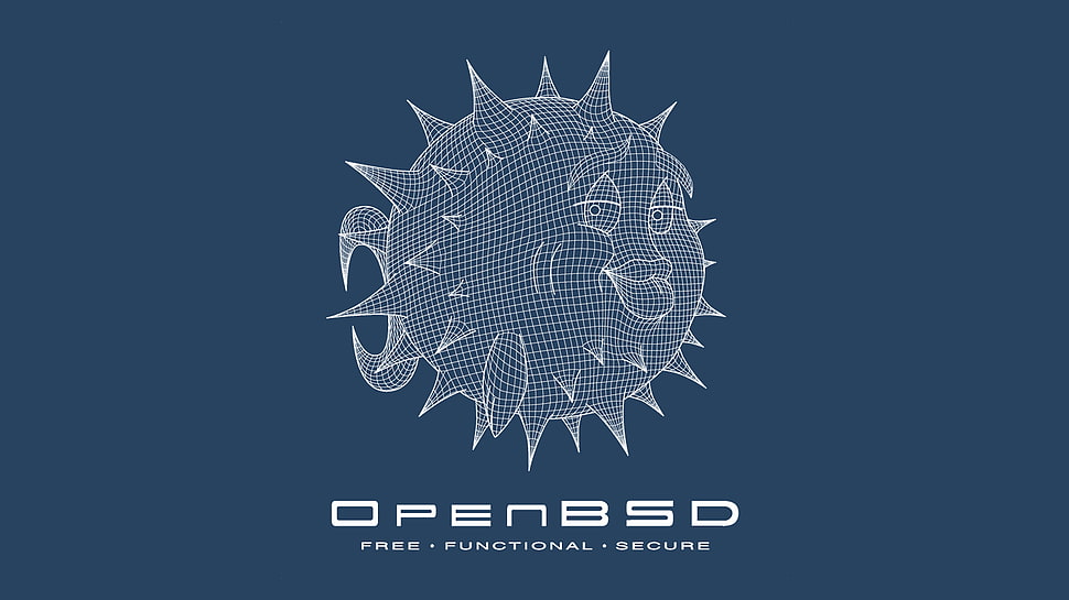 open bsd text on white background, open source, OpenBSD, Unix, logo HD wallpaper