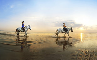 man and woman riding on white horses