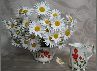 photo of white Daisy flowers on vase HD wallpaper
