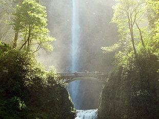grey bridge, nature, forest, river, waterfall HD wallpaper