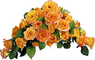 selective focus photography of orange Rose flower arrangement