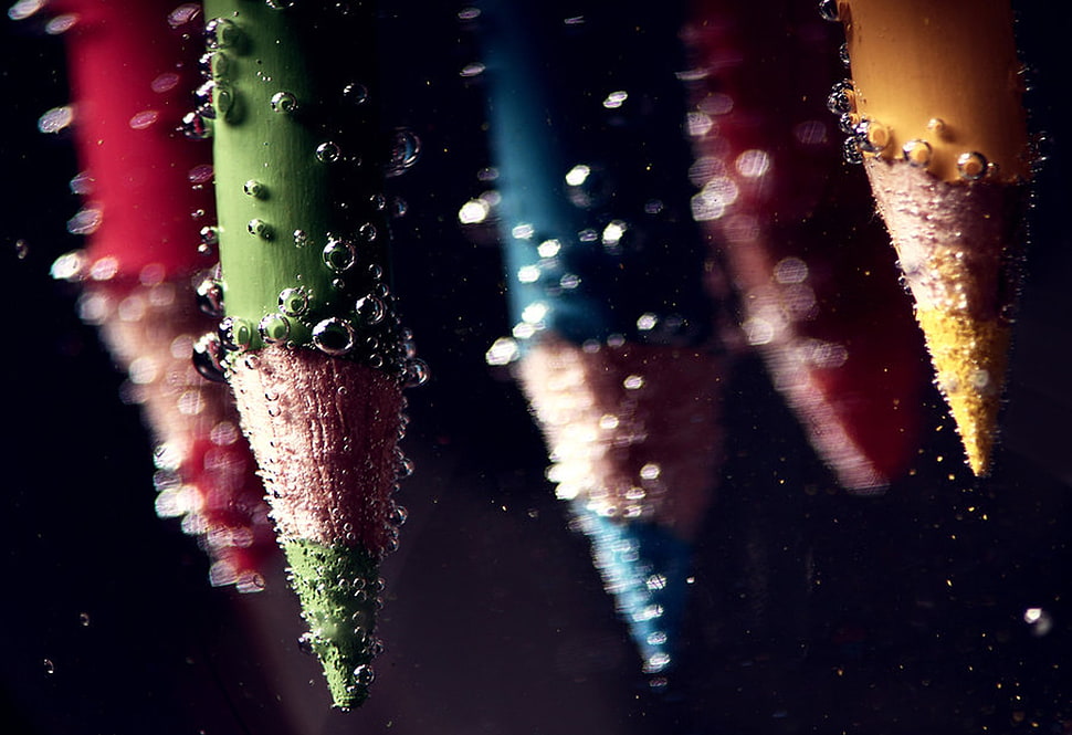 close-up photo of color pencils with water droplets HD wallpaper