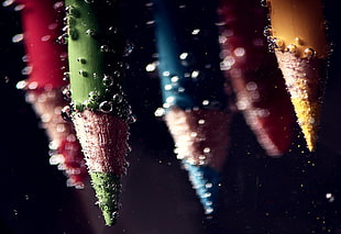 close-up photo of color pencils with water droplets