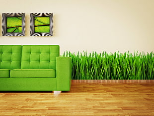 tufted green sofa beside green leaf plant