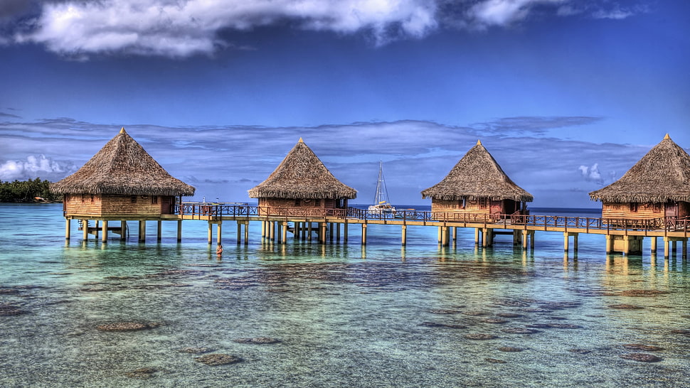 four brown house cottages, nature, landscape, resort, French Polynesia HD wallpaper