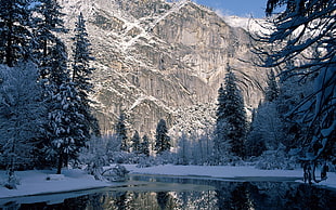 snowed mountain and trees, mountains, winter, landscape, river